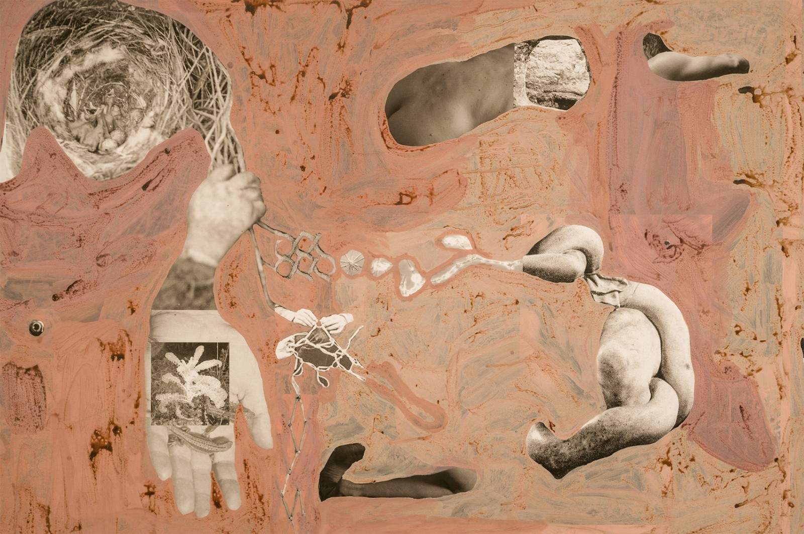 圖十二、《地勢(shì) (關(guān)于時(shí)間，關(guān)于身體)》 (細(xì)節(jié)圖)，O?zlem Alt?n，2019